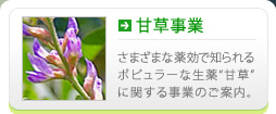 甘草事業 さまざまな薬効で知られるポピュラーな生薬“甘草”に関する事業のご案内。